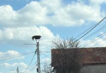 Sărbătorile schimbă programul pentru ridicarea deșeurilor